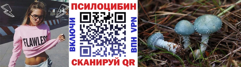 Псилоцибиновые грибы Psilocybe  площадка официальный сайт  Бологое  omg ONION 